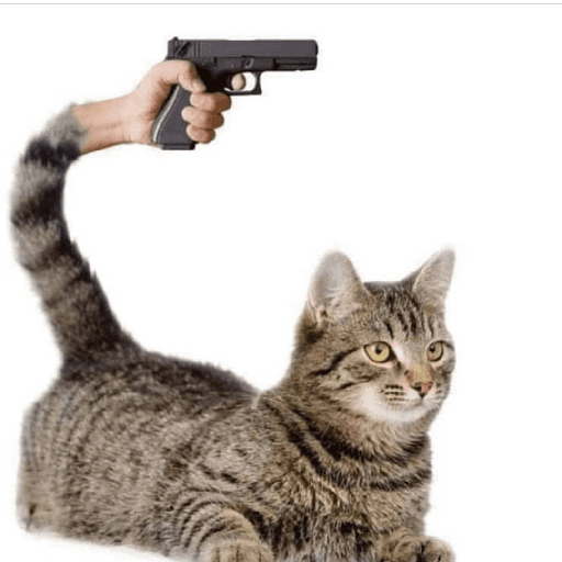 Shitpost0.9 15