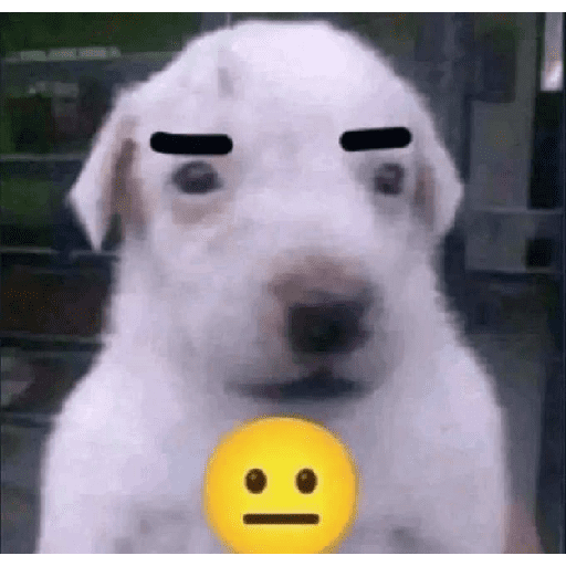 Shitpost0.9 29