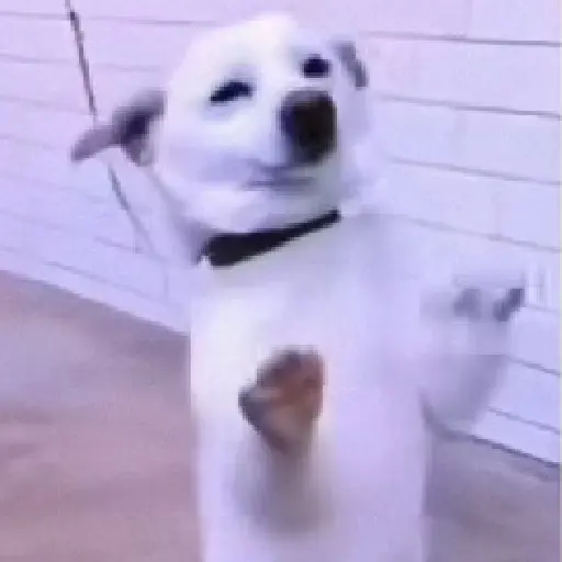 Ililililililili 8