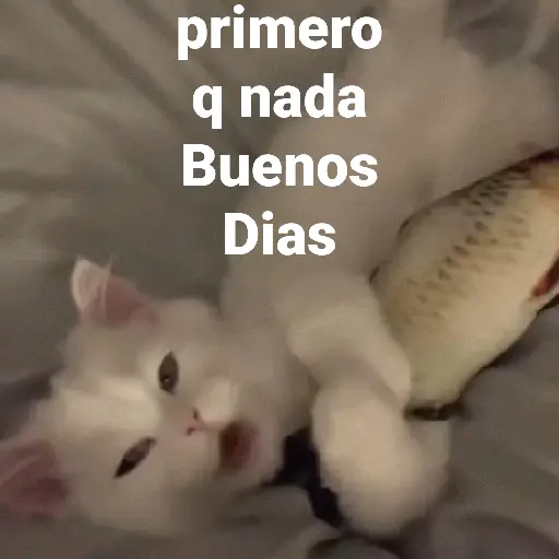 Ililililililili 2