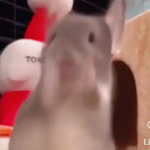 Ililililililili 6
