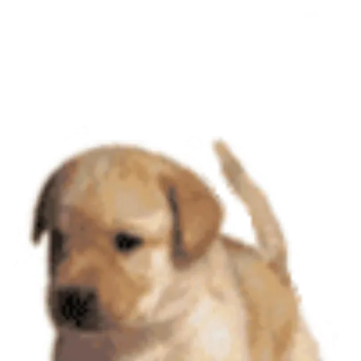 Ililililililili 12