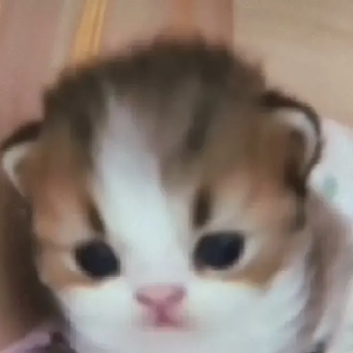 Ililililililili