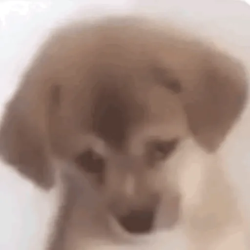 Ililililililili 13