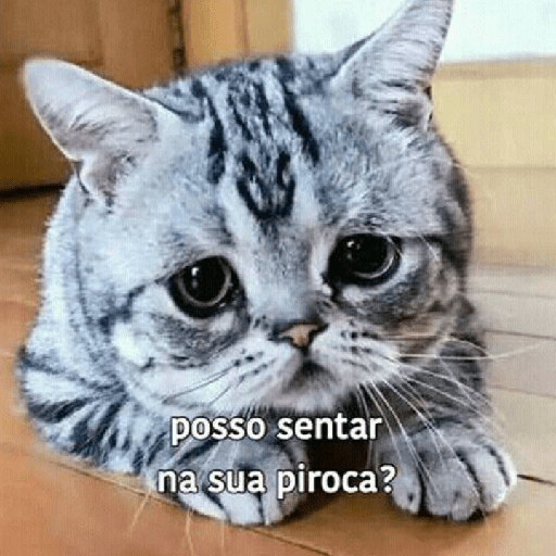 PESAD@S 🔞 22