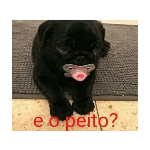 Sou petista amo peitos 3