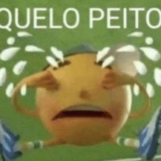 Sou petista amo peitos 23