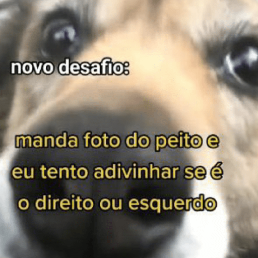 Sou petista amo peitos 25
