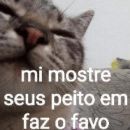 Sou petista amo peitos 24