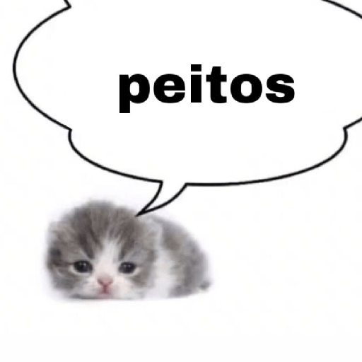 Sou petista amo peitos 16