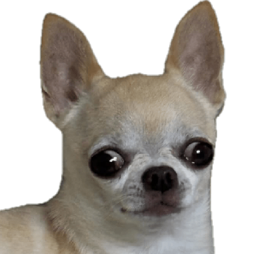 やおいanimales,asiatikoz