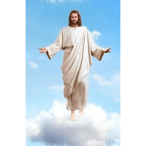 Aleatório 25