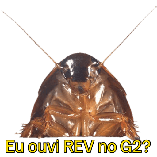 Hahaha 9