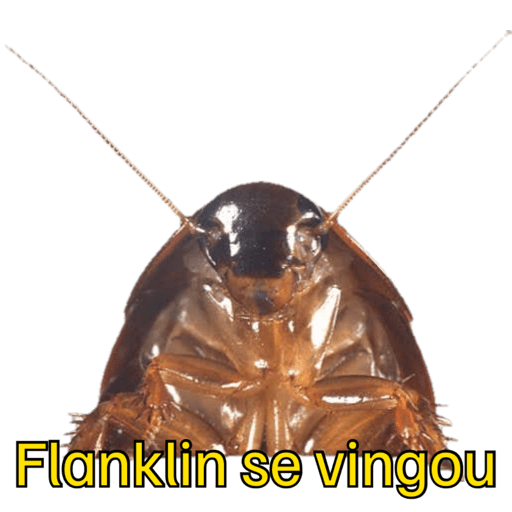 Hahaha 11