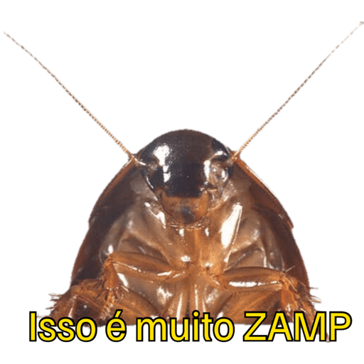 Hahaha 12