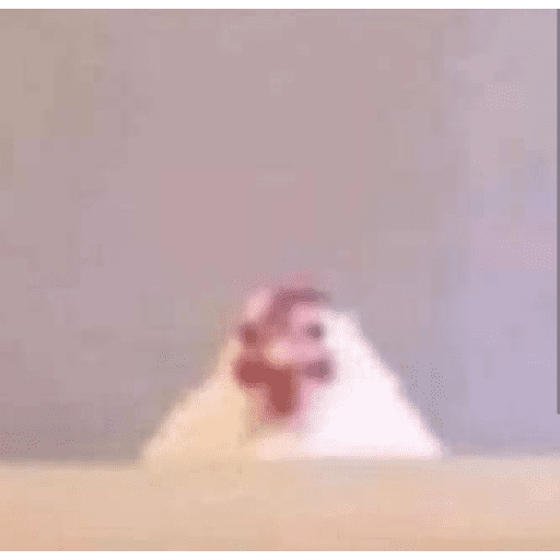 Não vou tá sabando ;-; 14