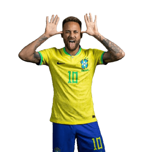 Jogadores copa  2