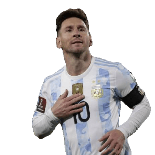Jogadores copa  12