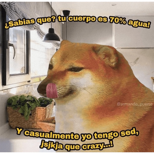Michis 4 us