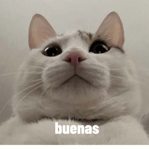 Michis 4 us