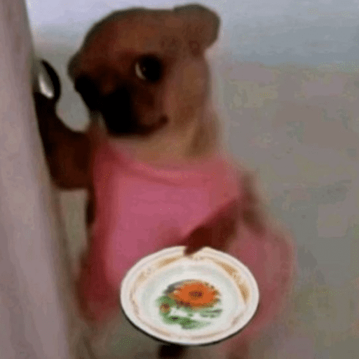 Macaquinhos 12