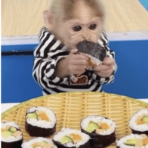 Macaquinhos 3