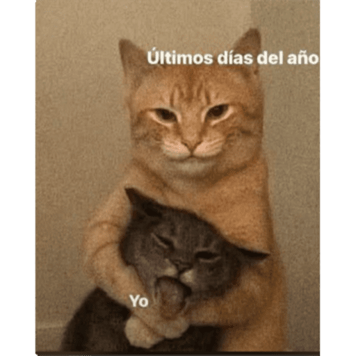 😘🌼🙄🌼💥 15
