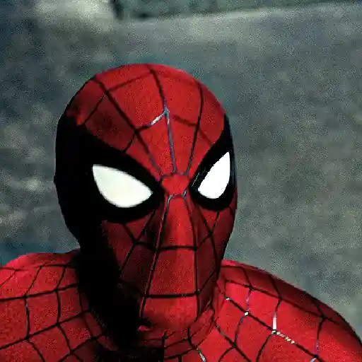 Spiderman 🕸️🕷️❤️Brand New Day 22