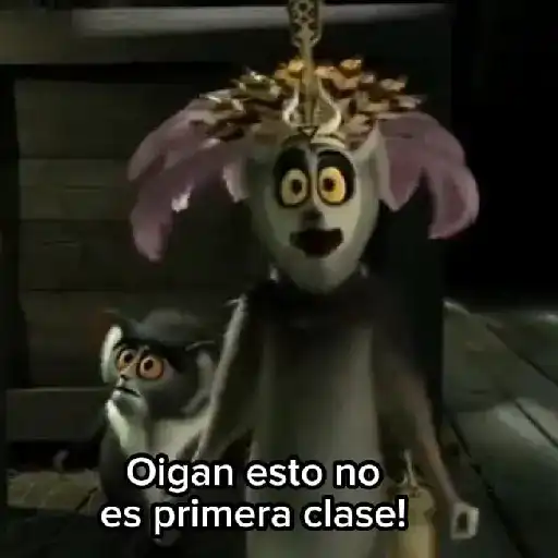 Rey Julien👑 y Osa Sonia🐼🎀