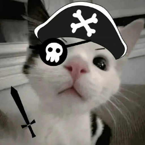 Cat meme ✨😽 2