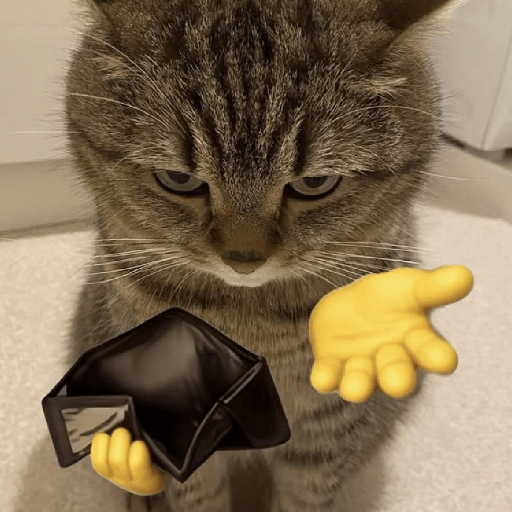 Cat meme ✨😽 14