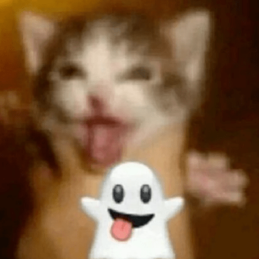 Cat meme ✨😽 3