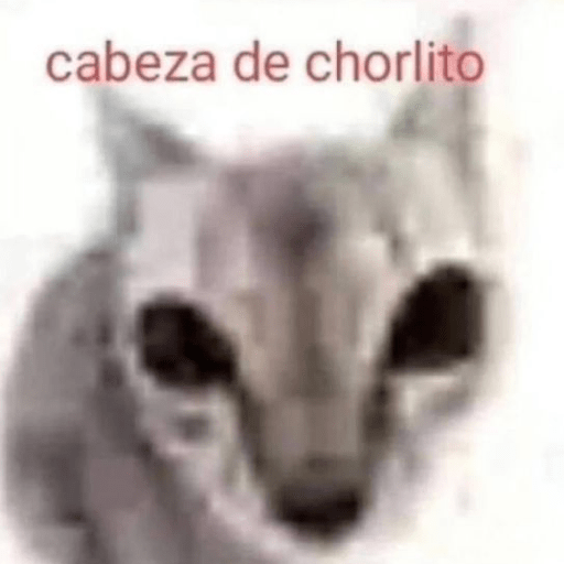 Cat meme ✨😽 9