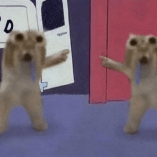 Cat meme ✨😽 20