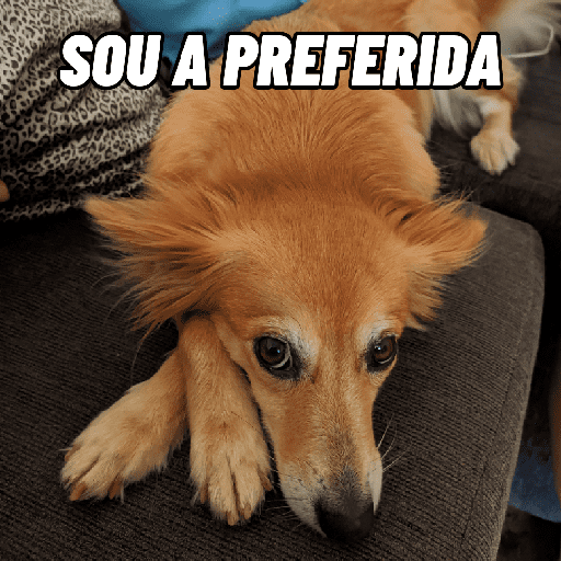 Corinthians 2025 24