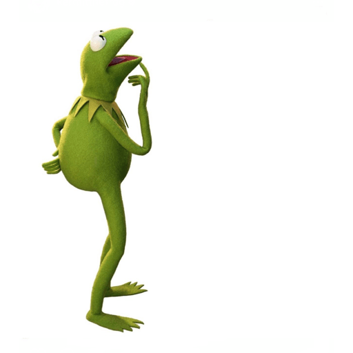 Kermit The Frog 29