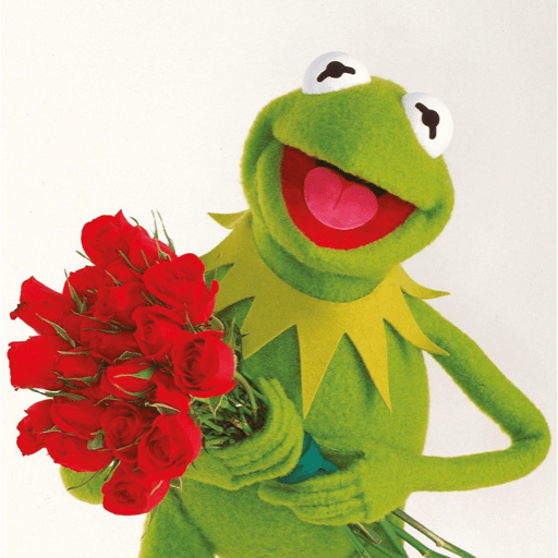 Kermit The Frog 4
