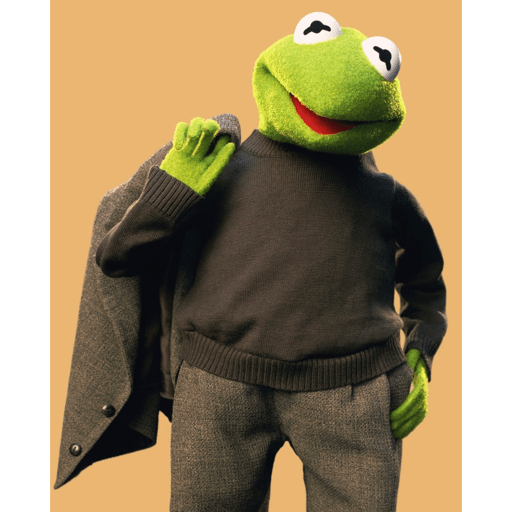 Kermit The Frog 24