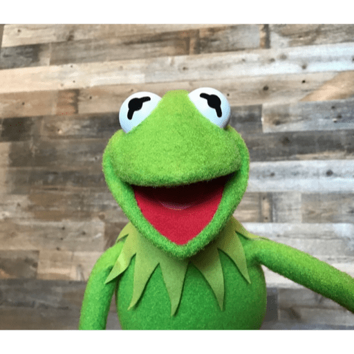 Kermit The Frog 13