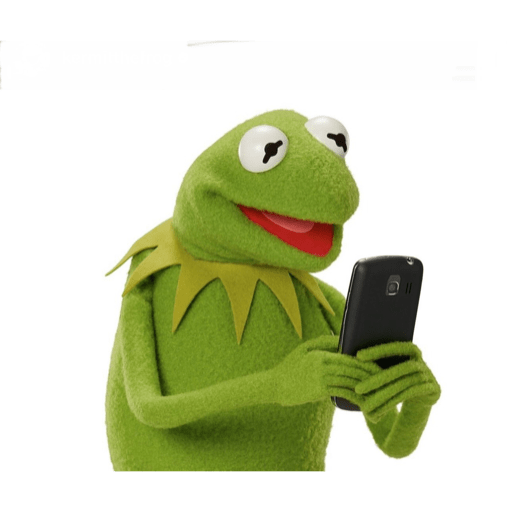 Kermit The Frog 11