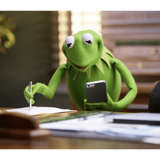 Kermit The Frog 30