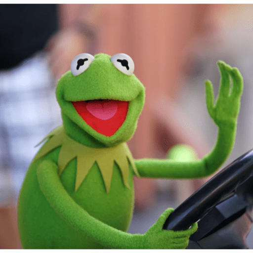 Kermit The Frog 14