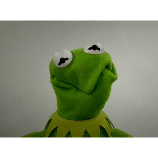 Kermit The Frog 8