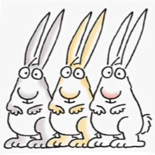 Animalitos 3 18