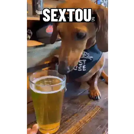 Ah não, Brow XIV 20