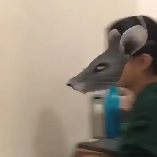 Ah não, Brow XIV 14