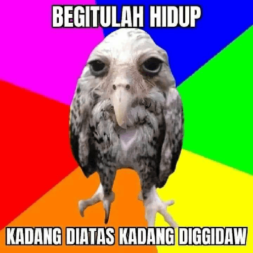 Absurd  7