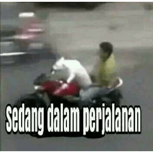 Absurd  3