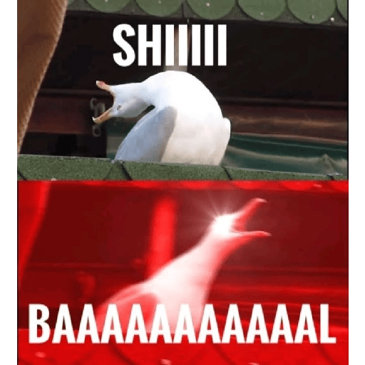REACTION TIKTOK MEME 8