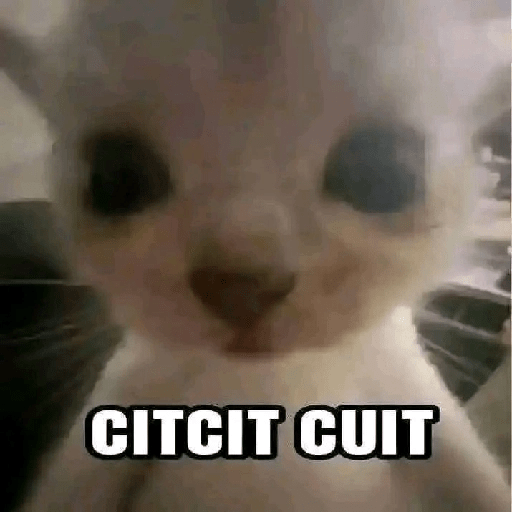REACTION TIKTOK MEME 13